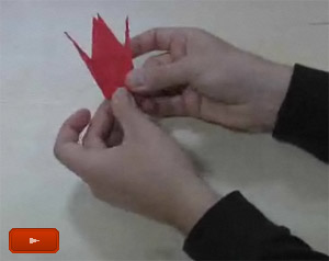 Origami video screenshot
